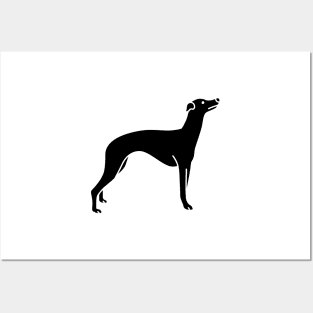 Whippet Posters and Art